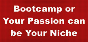 Bootcamp or Niche