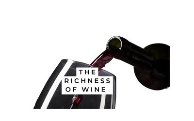 10 Top Wine Affiliate Marketing Programs To Join Now